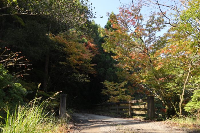 中土佐町　大野見　島の川渓谷