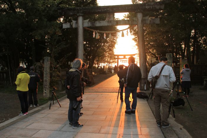 中土佐町　久礼　だるま朝日　久礼八幡宮境内