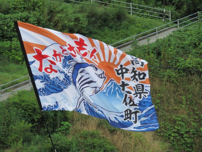 高知　中土佐町　なかとさもん　よさこい