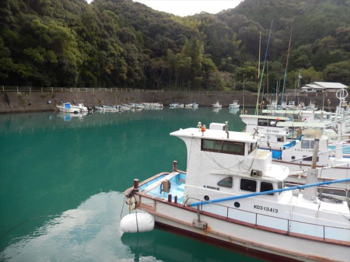 やいか　築港　漁船