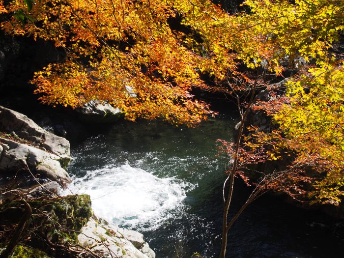 中土佐町　島ノ川渓谷　紅葉